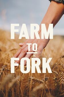 Farm To Fork