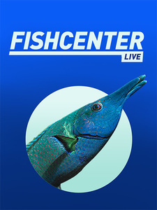 Fishcenter Live