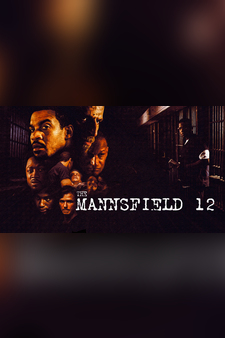 The Mannsfield 12