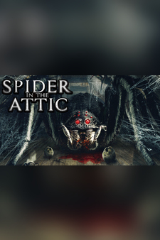Spider in the Attic