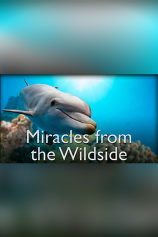 Miracles From the Wildside