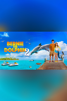 Bernie The Dolphin 2