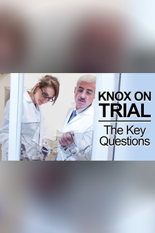 Knox on Trial: The Key Questions