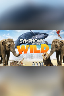 Symphony of The Wild