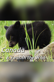 Canada: A Year In The Wild