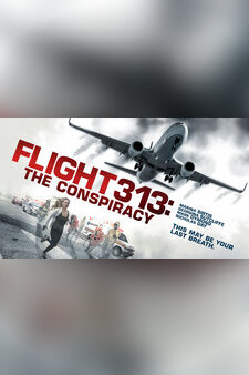 Flight 313: The Conspiracy