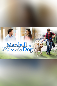 Marshall The Miracle Dog
