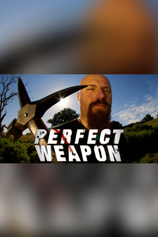 Perfect Weapon