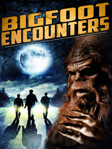 Bigfoot Encounters