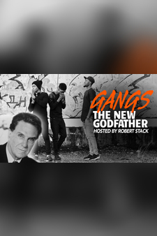 Gangs: The New Godfathers, Hosted by Robert Stack