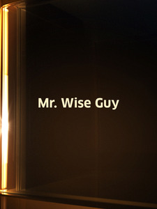 Mr. Wise Guy