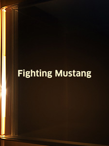 Fighting Mustang