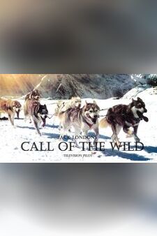 Call of The Wild