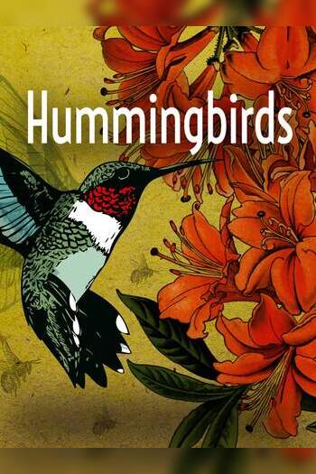 Hummingbirds