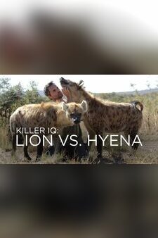 Killer IQ: Lion vs. Hyena