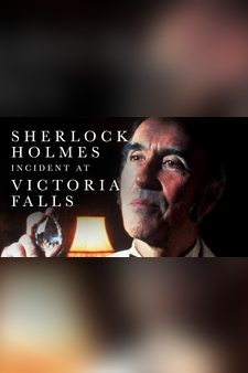 Sherlock Holmes: Incident at Victoria Fa...