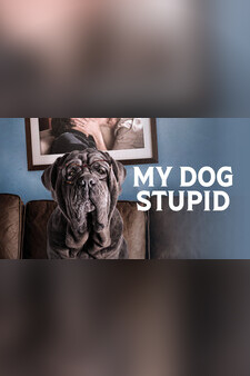 My Dog Stupid