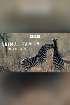 Animal Family: Wild Fathers