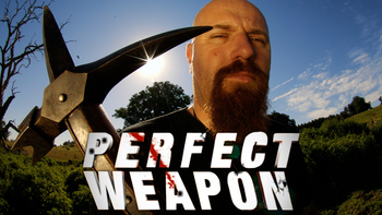 Perfect Weapon