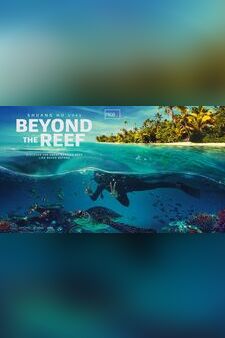 Beyond The Reef