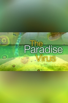 Paradise Virus
