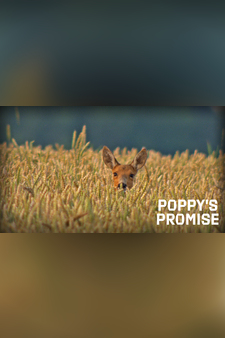 Poppy's Promise