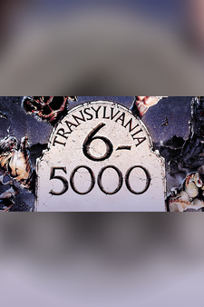 Transylvania 6-5000