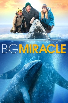 Big Miracle
