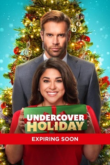 Undercover Holiday​