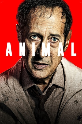 Animal
