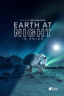 Earth at Night in Colour