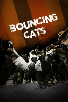 Bouncing Cats - Red Bull Media House