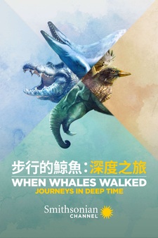When Whales Walked: Journeys in Deep Tim...