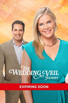 The Wedding Veil Journey
