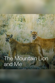 The Mountain Lion and Me