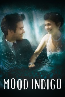 Mood Indigo (2014)