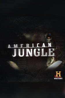 American Jungle