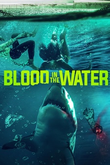 Blood In the Water