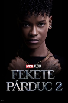 Black Panther: Wakanda Forever (VF)