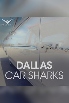 Dallas Car Sharks