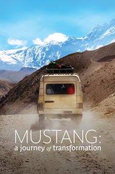 Mustang - A Journey of Transformation
