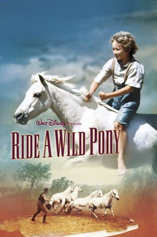 Ride a Wild Pony