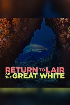 Return to Lair of the Great White
