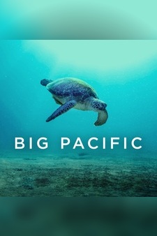 Big Pacific