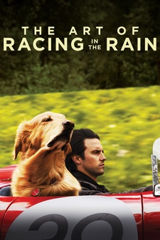 The Art of Racing In the Rain