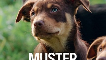 Muster Dogs