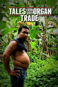 Tales From the Organ Trade