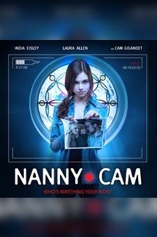 Nanny Cam