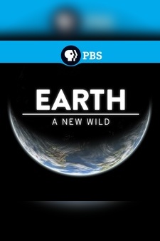 Earth: A New Wild