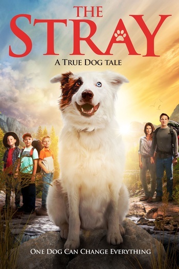 The Stray
